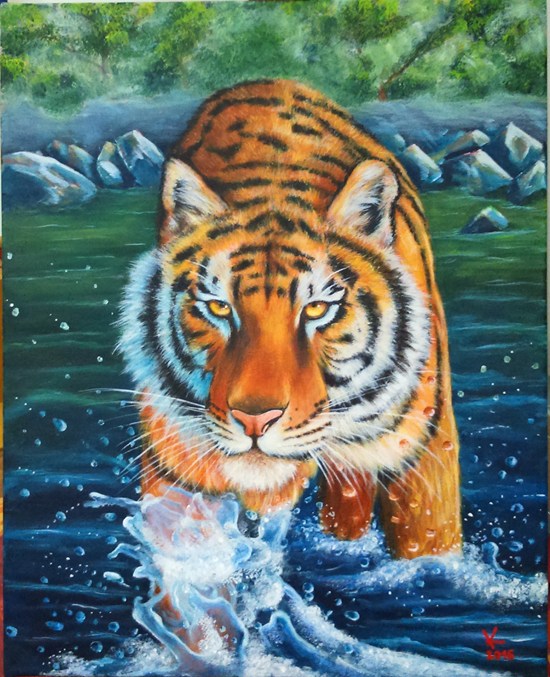 tiger v megli