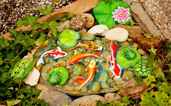Koi krapi