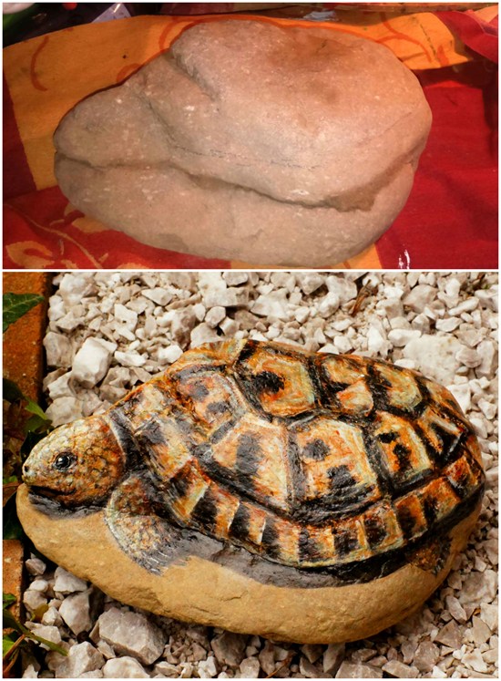 Želva