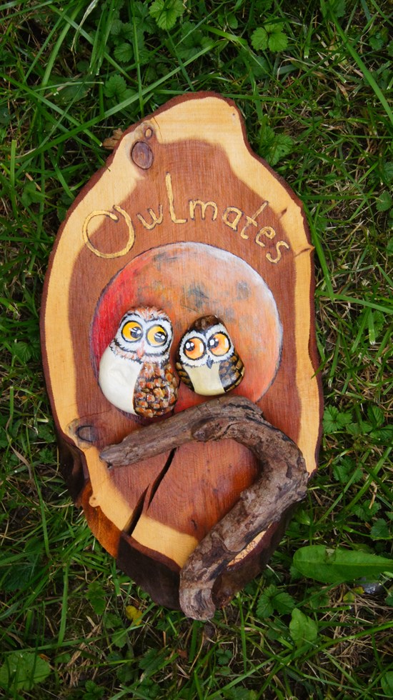 Owlmates 2