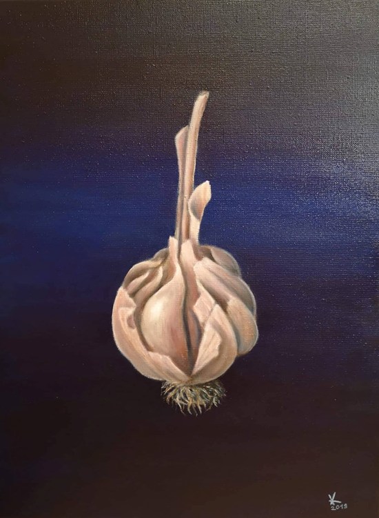 Česen / Garlic