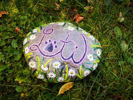 Spominski kamen za kužiko Loti