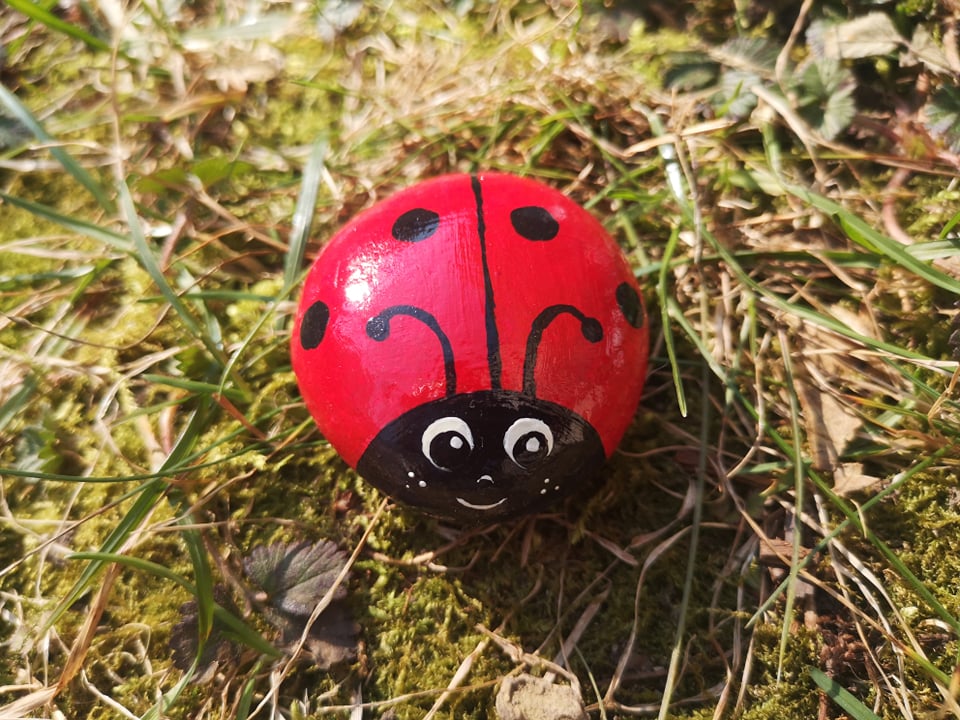 Pikapolonice za srečo