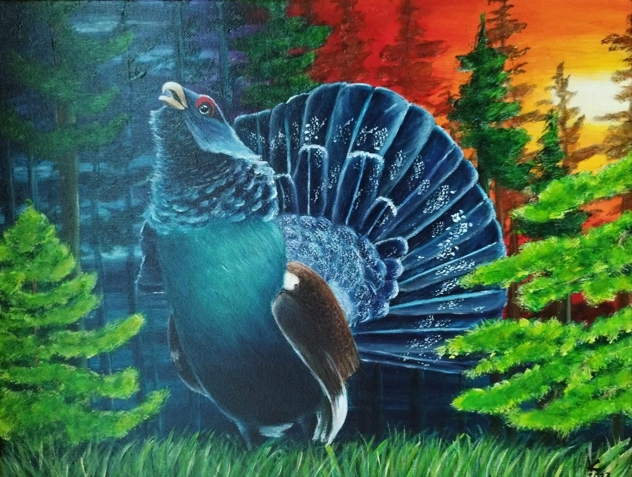 Divji petelin, darilo za lovca