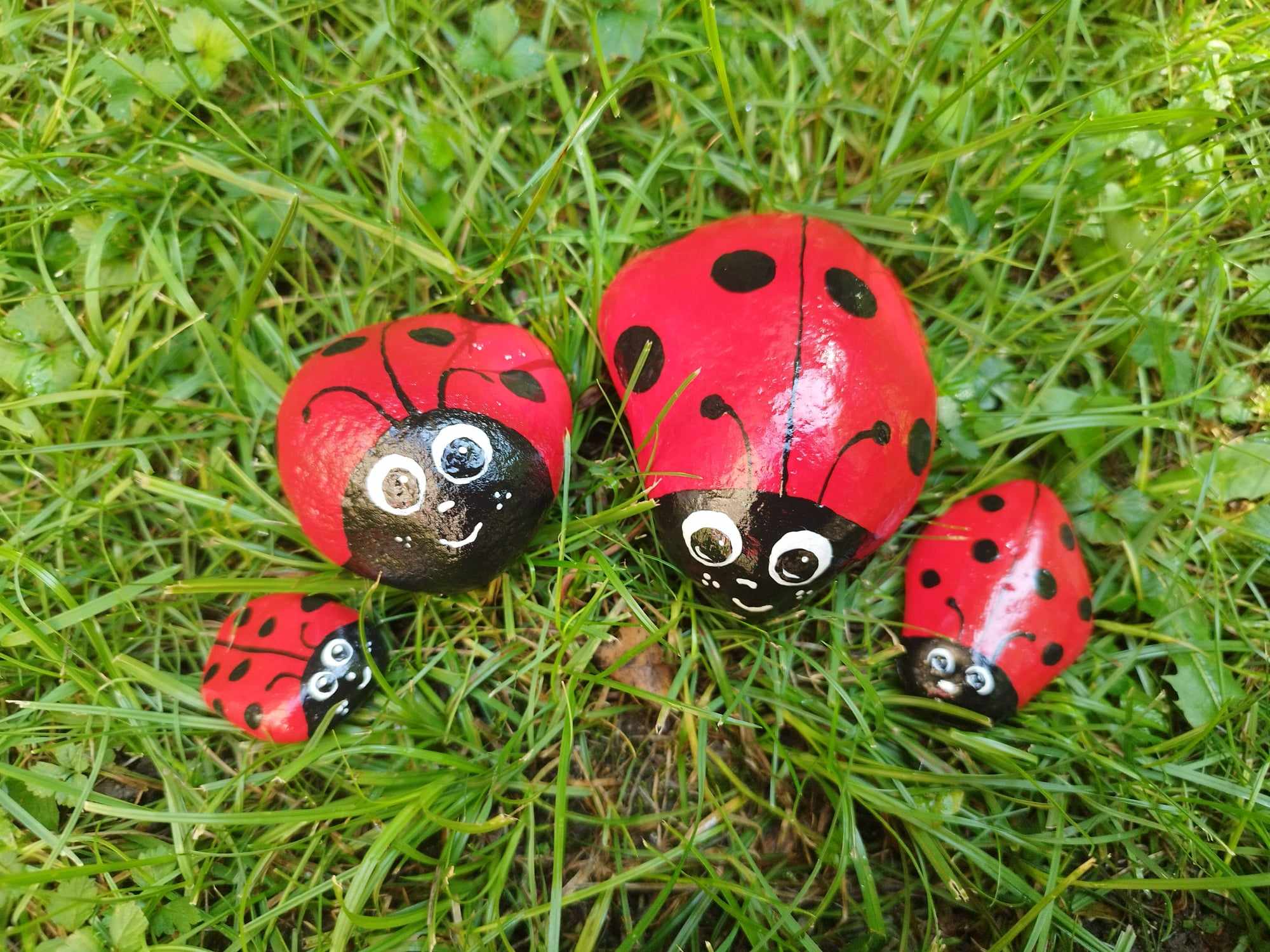 Pikapolonica, kamen sreče