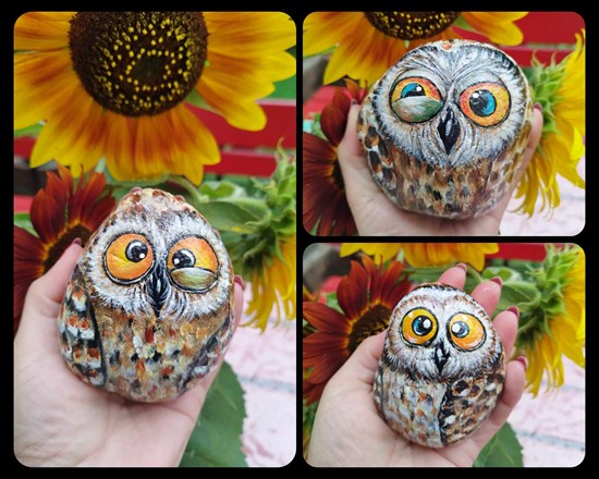 Sove, ki čukasto gledajo