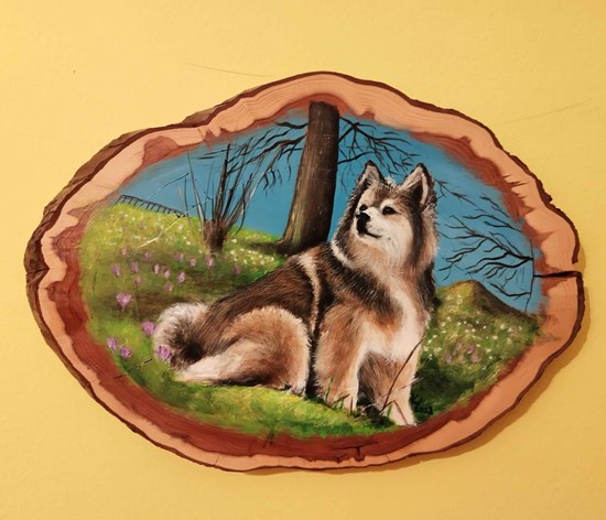 Portret psičke na lesu