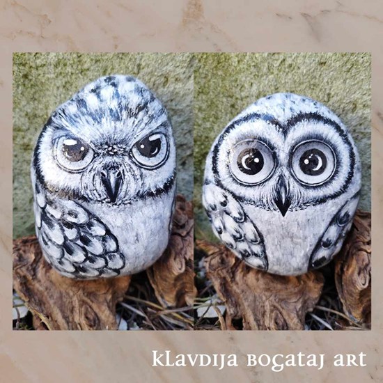 Sova - črno bela