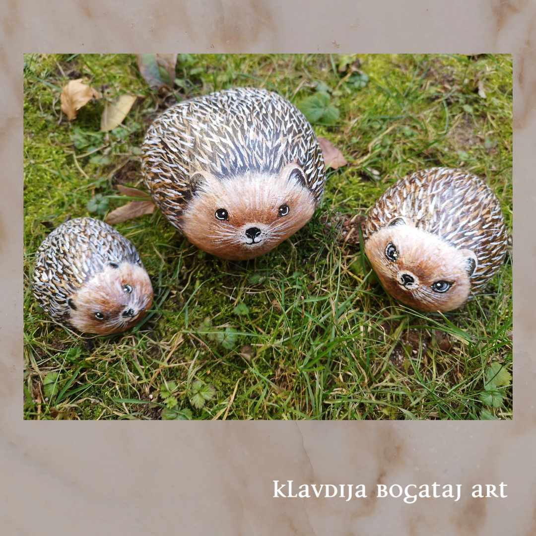 Jež - totemska žival