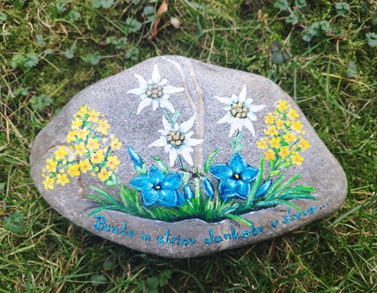 Planinsko cvetje s posvetilom na kamnu