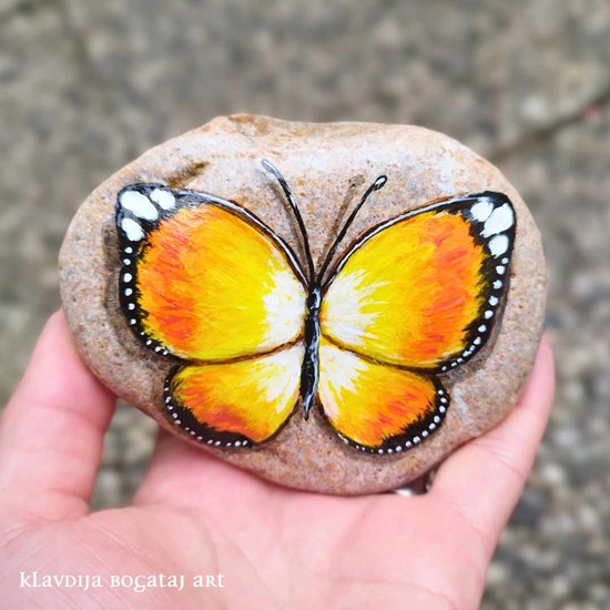 Metulj na kamnu