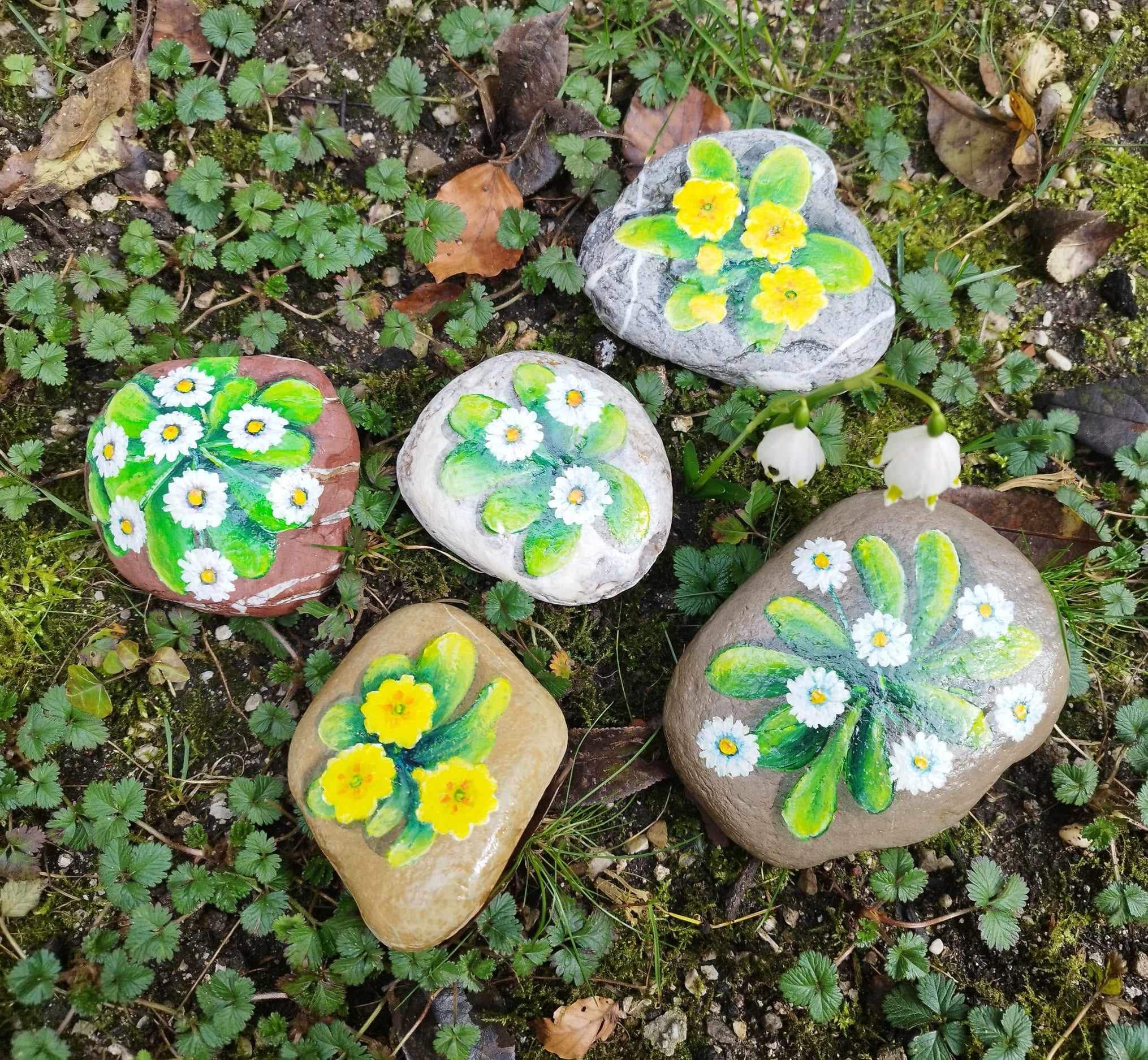 Rože na kamnu, darilo za 8 marec