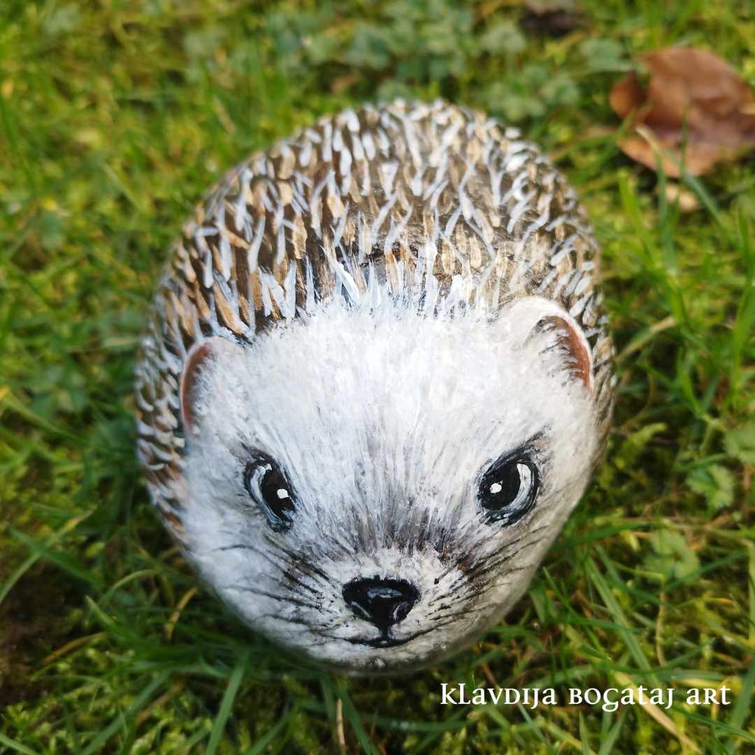 ježek  - dekoracija vrta