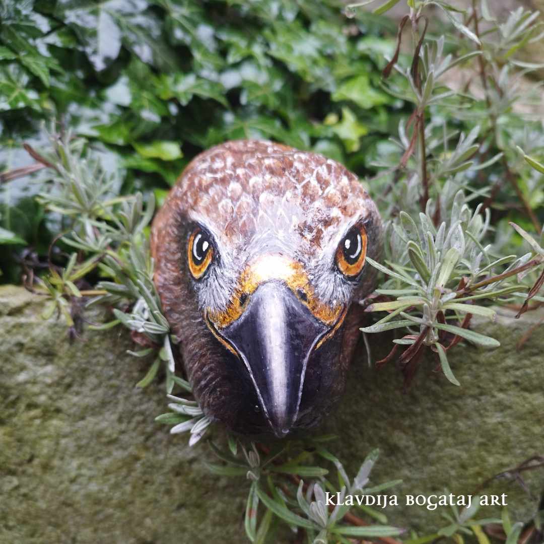 Planinski orel - žival moči