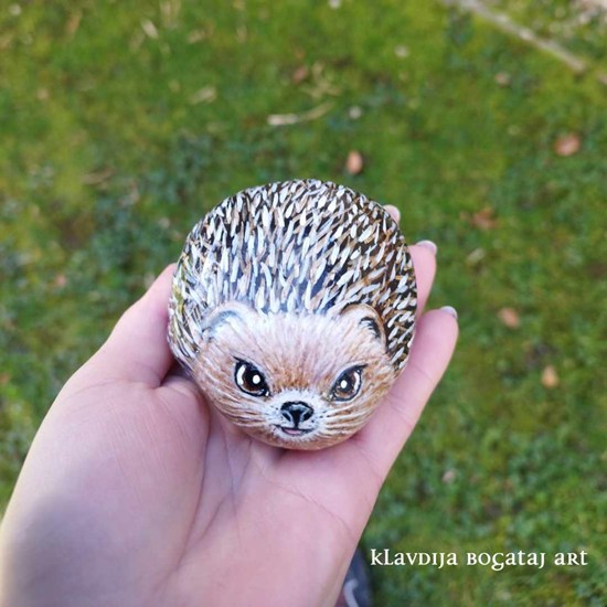 Jež