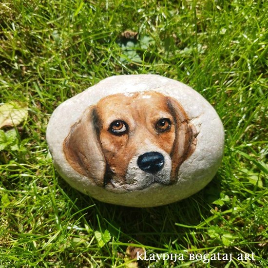 Portreti živali  - Beagle