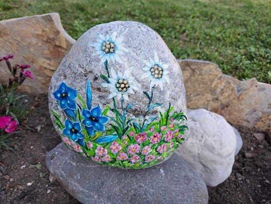 Planinsko cvetje skalnjak