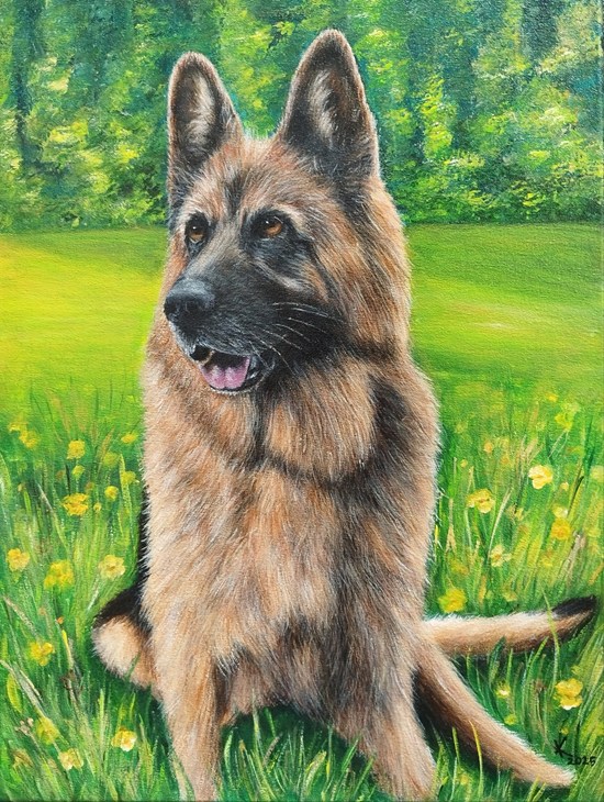 Nemči ovčar portret na platnu